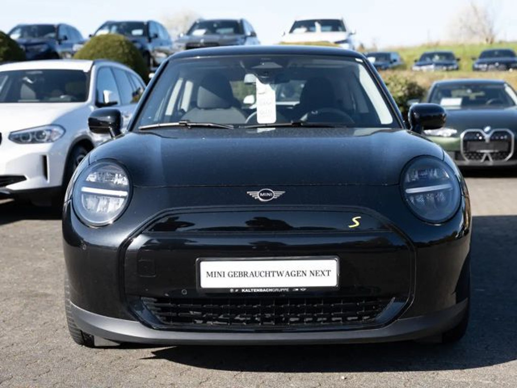 Mini Mini Electric