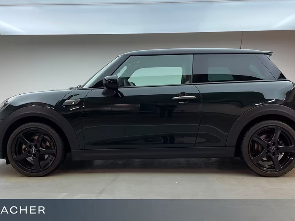 Mini Mini Electric