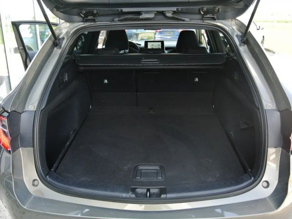 Suzuki Swace