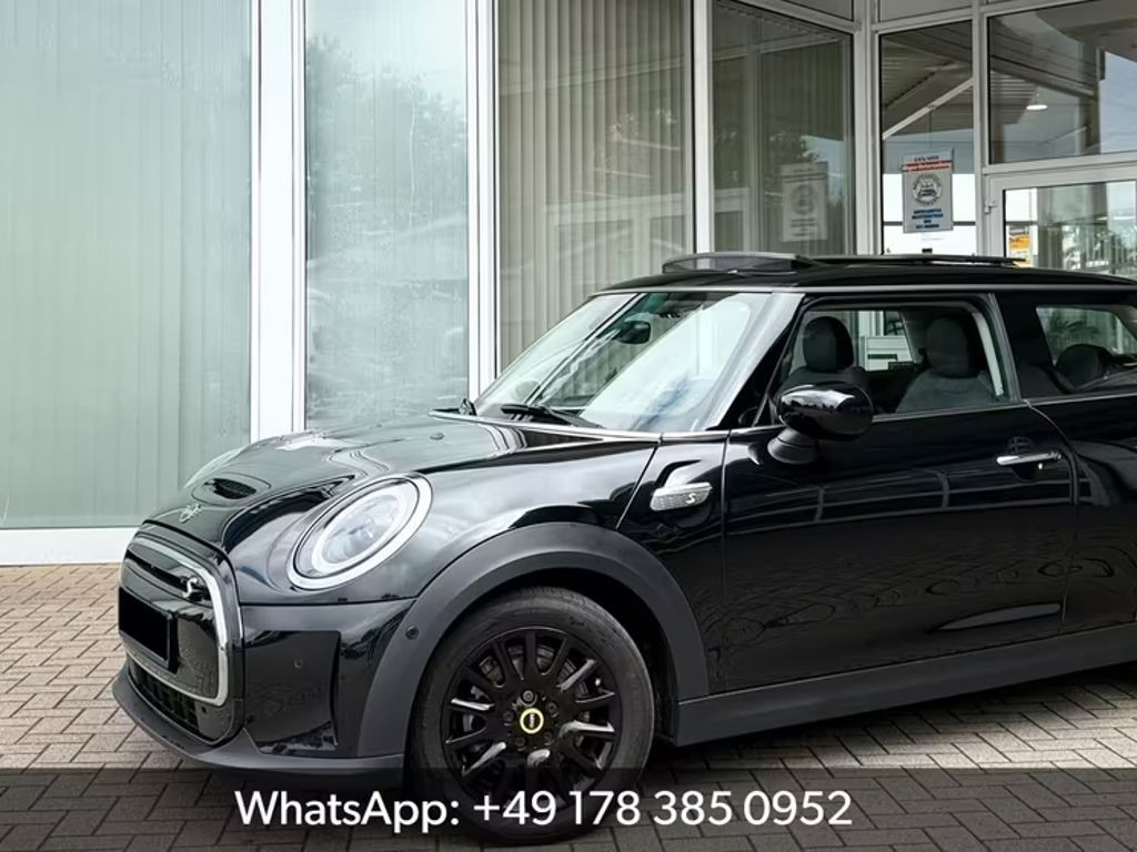 Mini Mini Electric