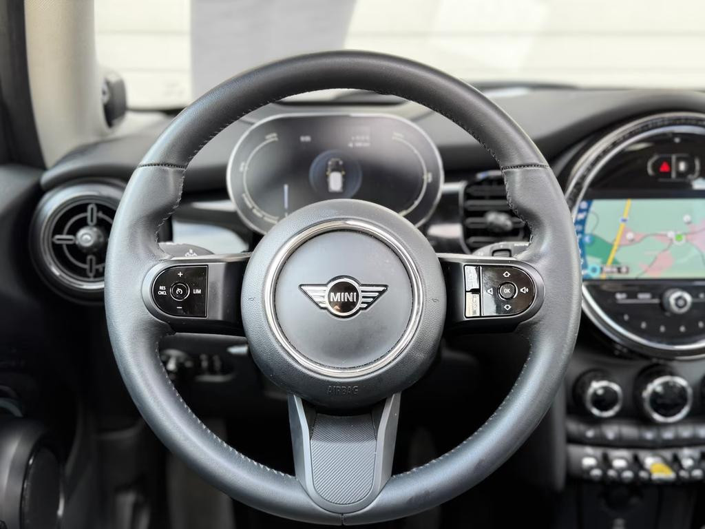 Mini Mini Electric