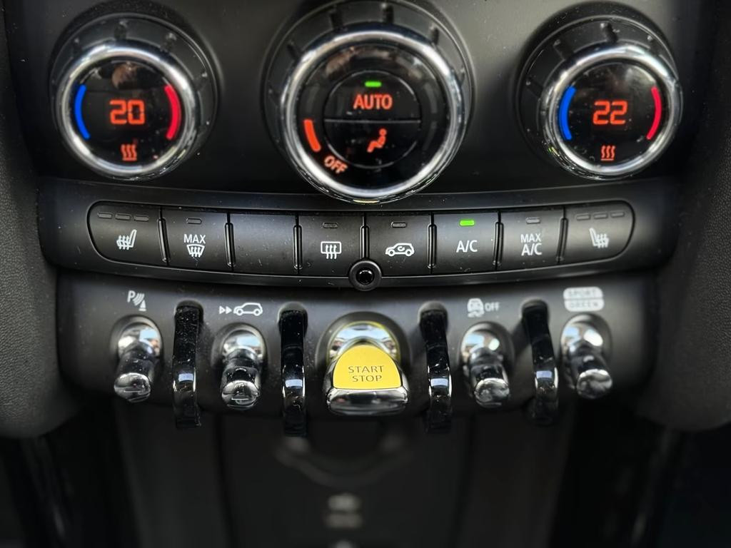 Mini Mini Electric