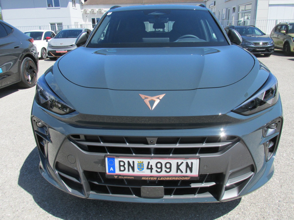 Cupra Terramar
