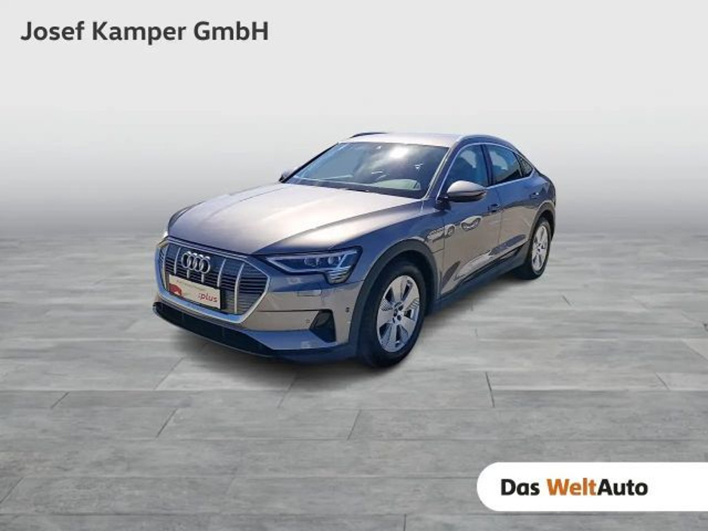Audi e-tron 2021 Elektrisch