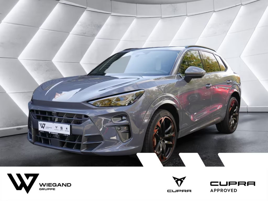 Cupra Terramar 2024 Benzine