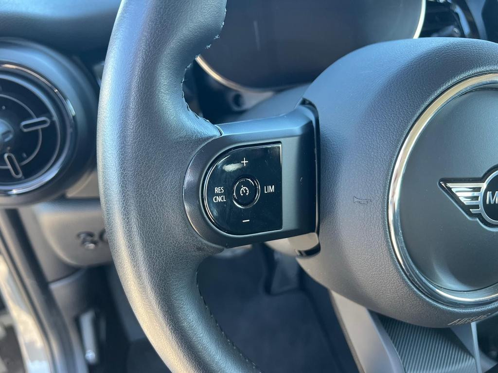 Mini Mini Electric