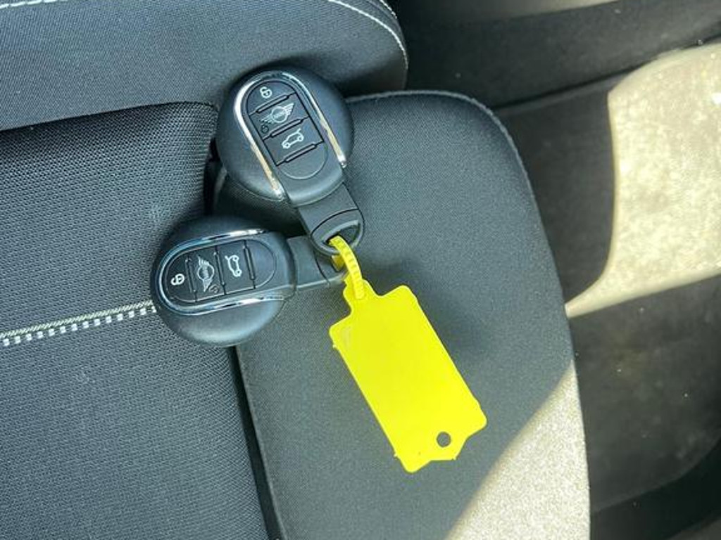 Mini Mini Electric