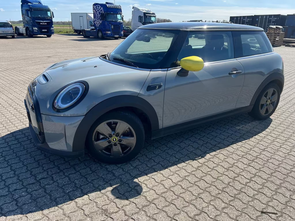 Mini Mini Electric