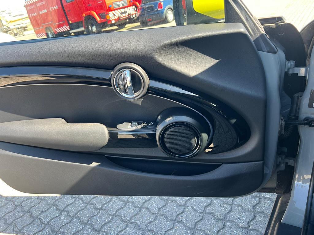 Mini Mini Electric