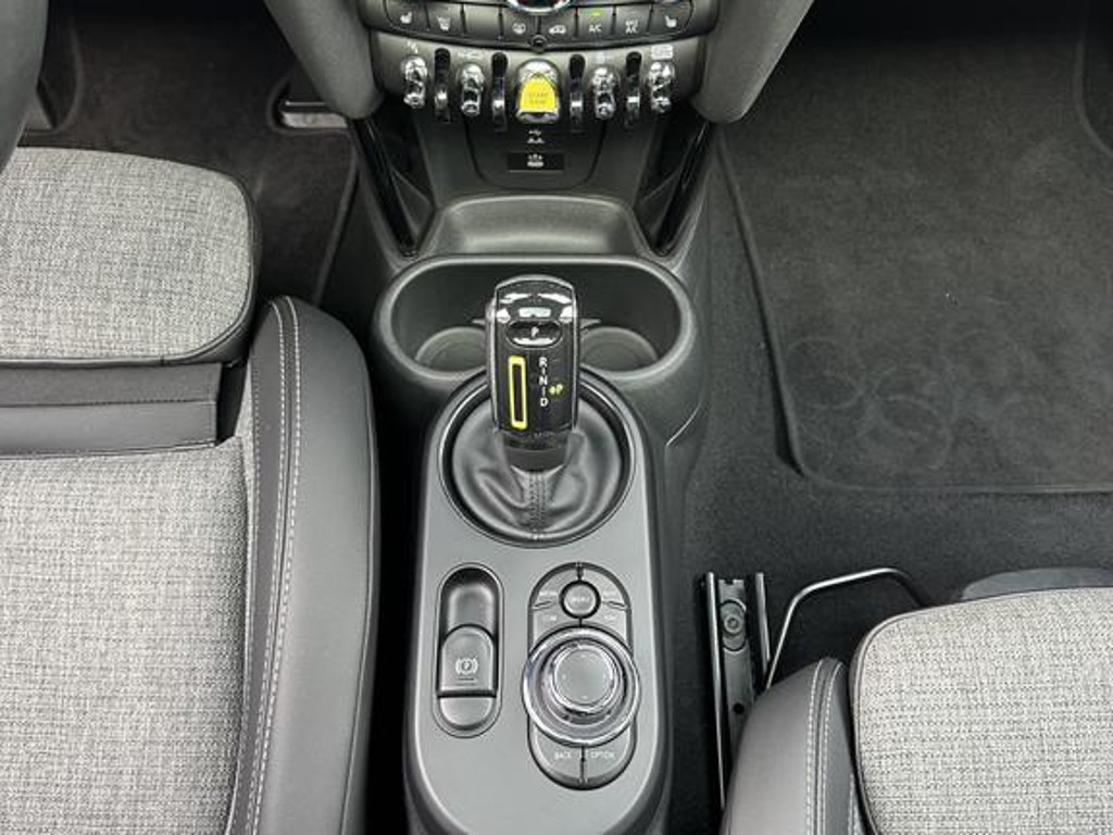 Mini Mini Electric