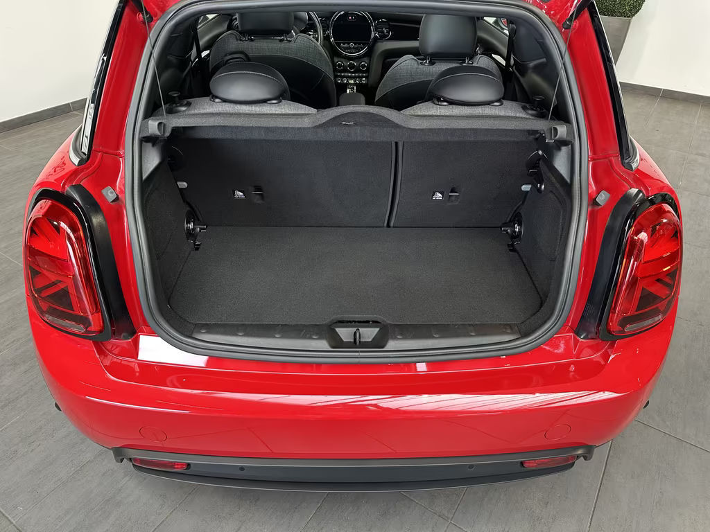 Mini Mini Electric