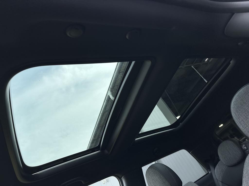 Mini Mini Electric