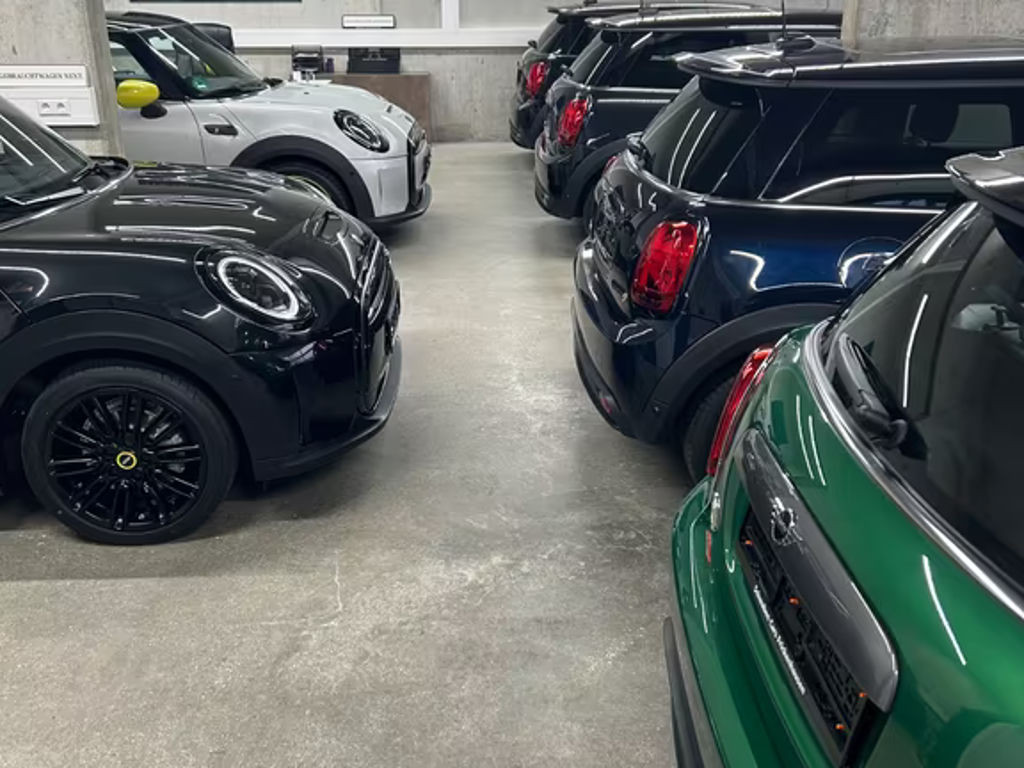 Mini Mini Electric