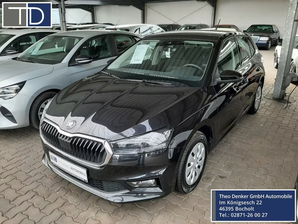 Skoda Fabia 2024 Benzine