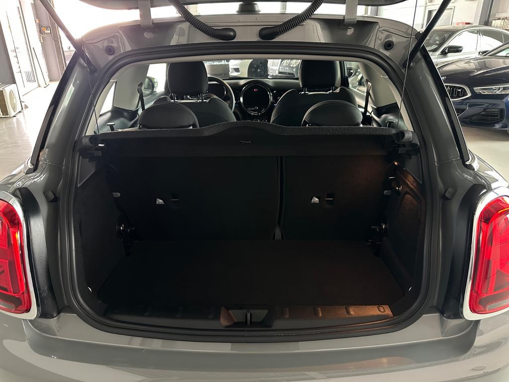 Mini Mini Electric