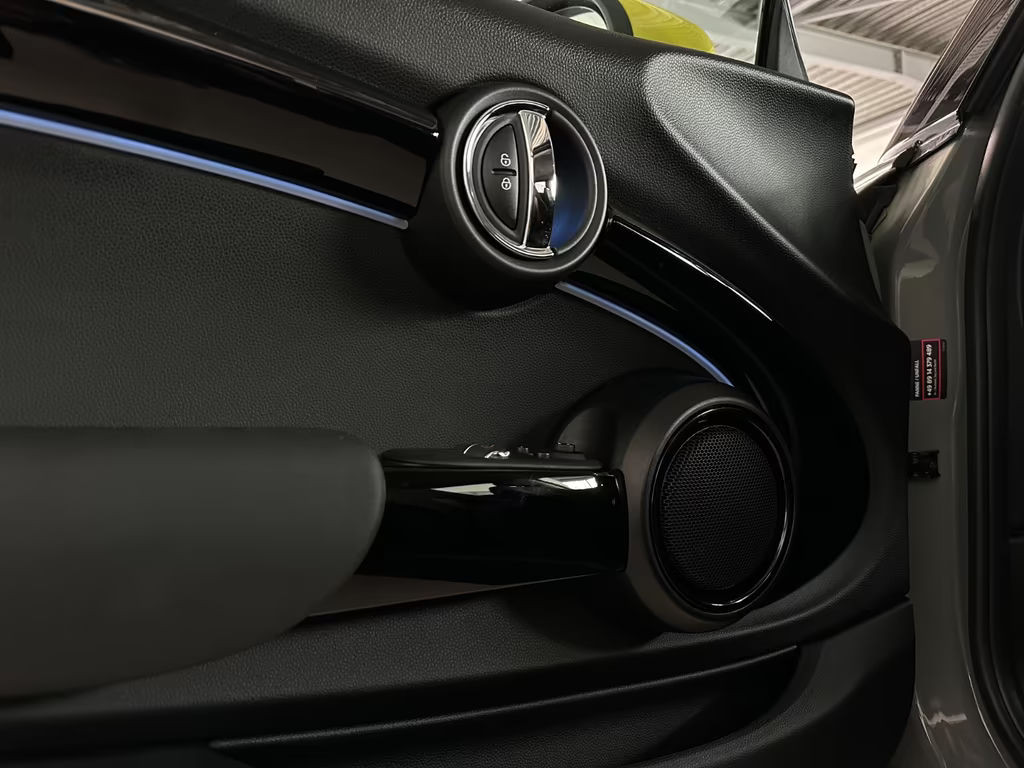 Mini Mini Electric
