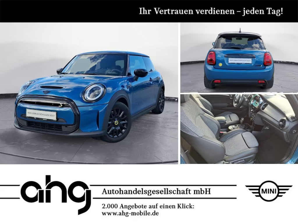 Mini Mini Electric