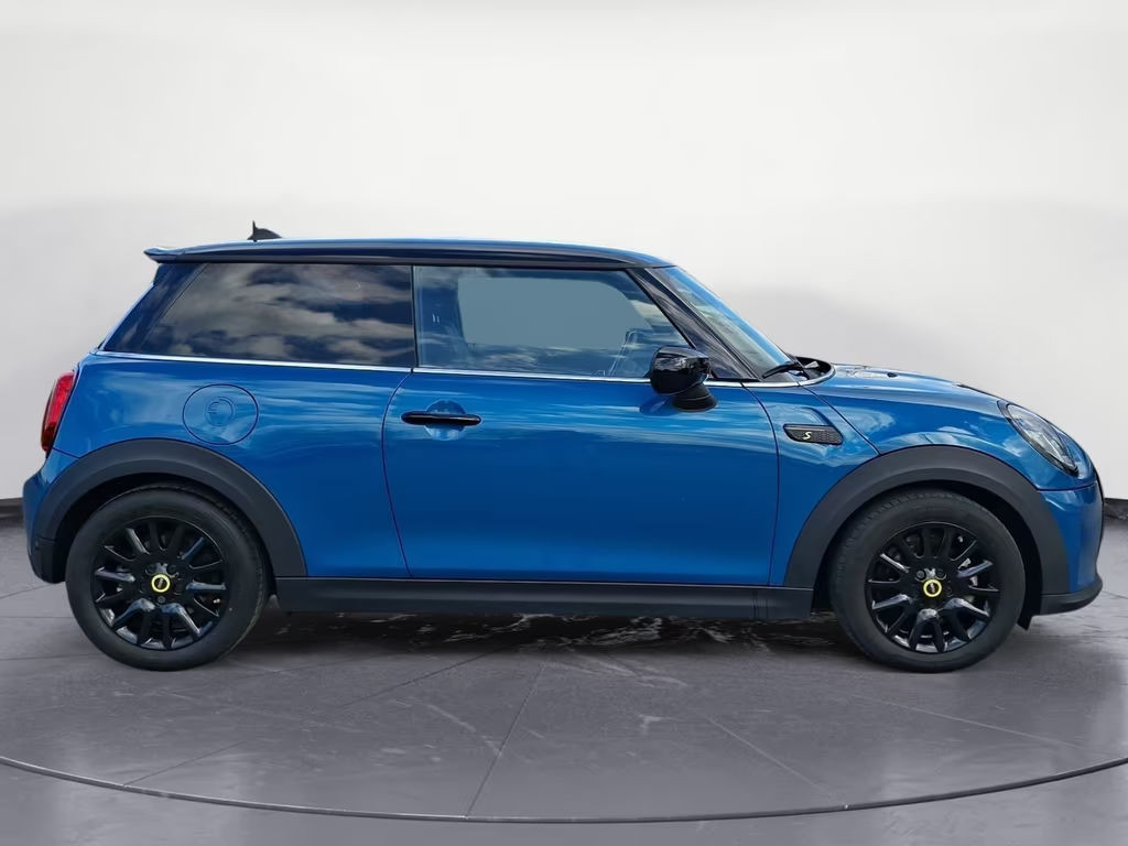 Mini Mini Electric