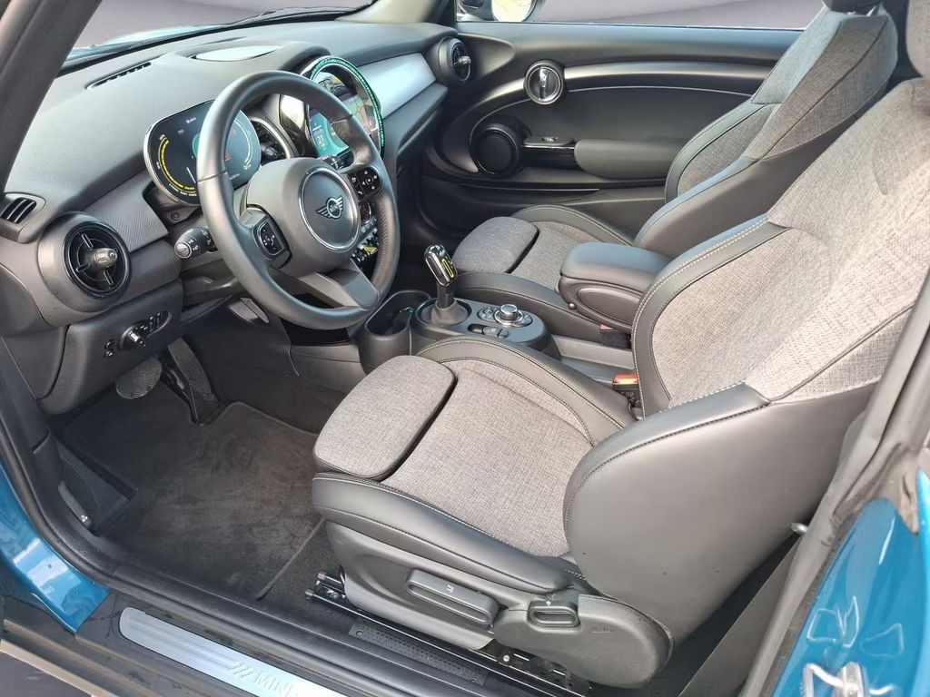 Mini Mini Electric