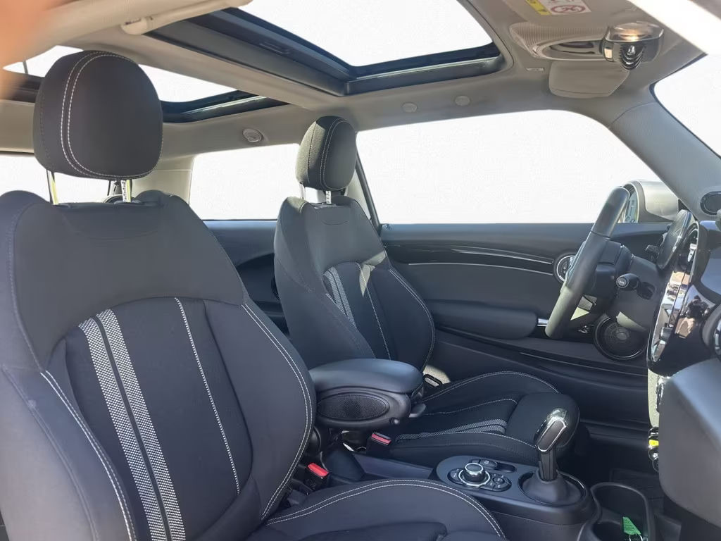 Mini Mini Electric