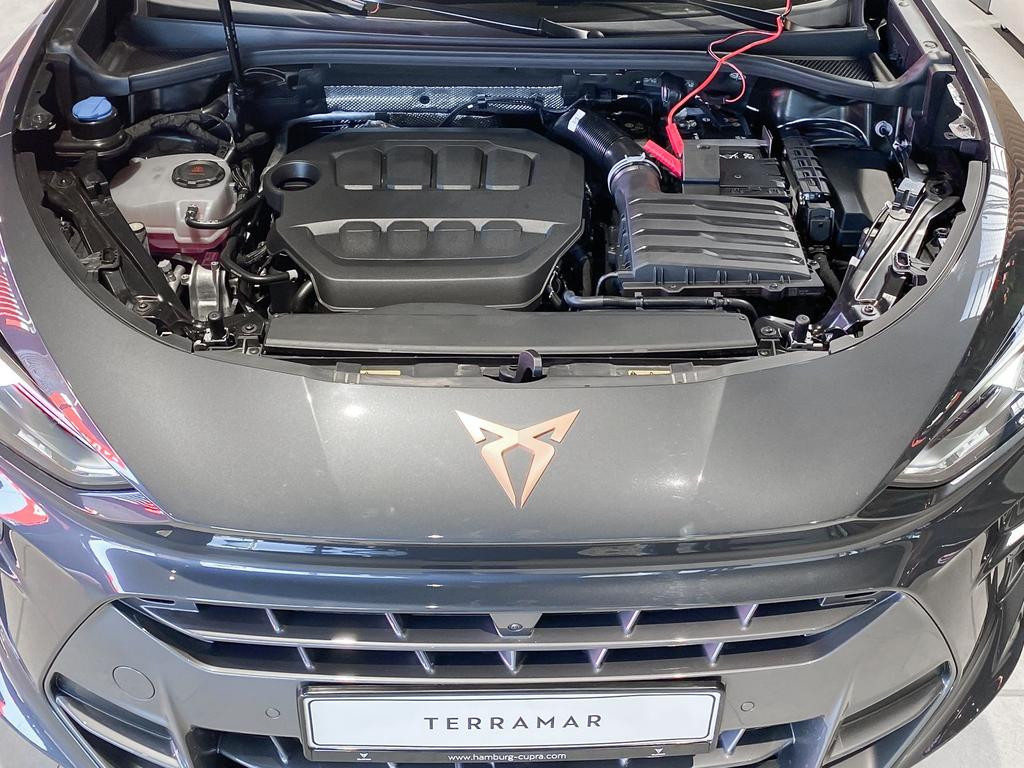 Cupra Terramar