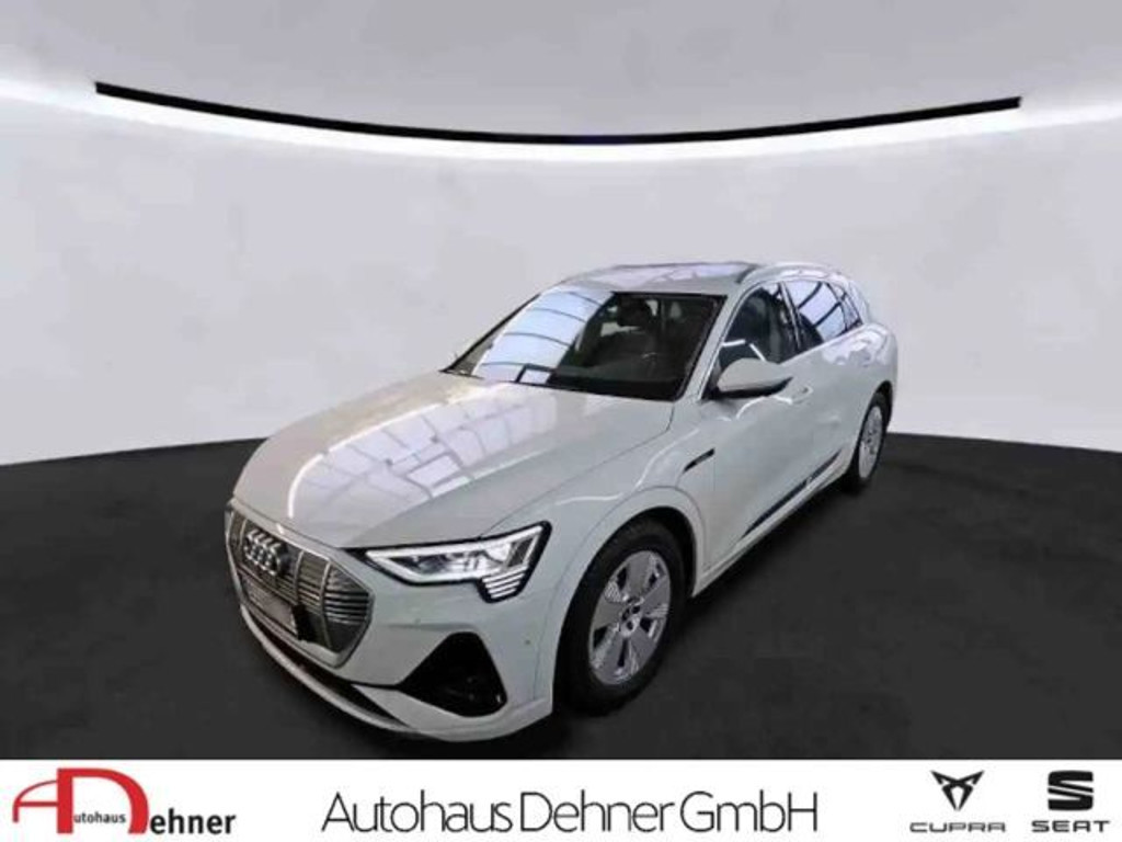 Audi e-tron 2022 Elektrisch