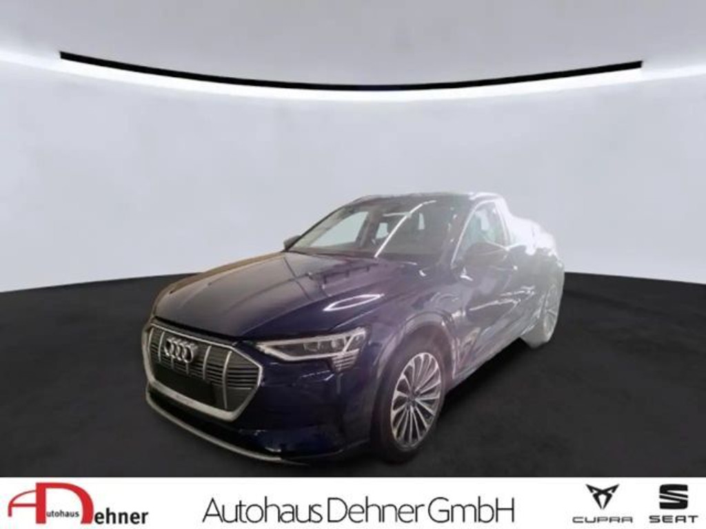 Audi e-tron 2022 Elektrisch