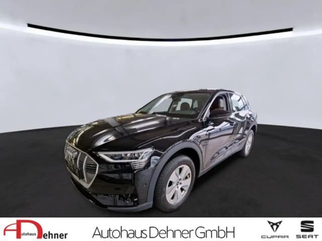 Audi e-tron 2022 Elektrisch