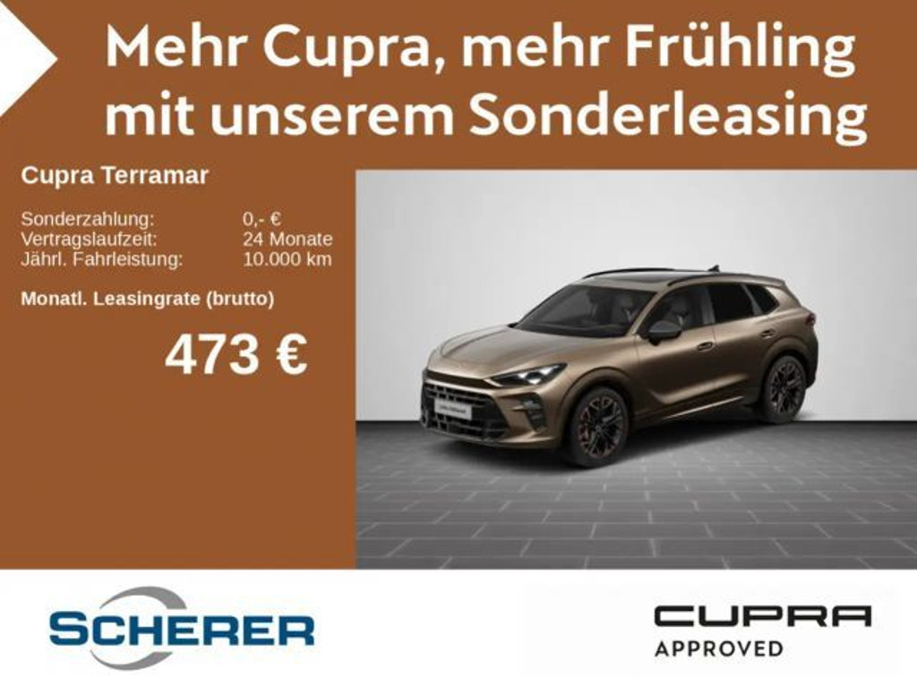 Cupra Terramar