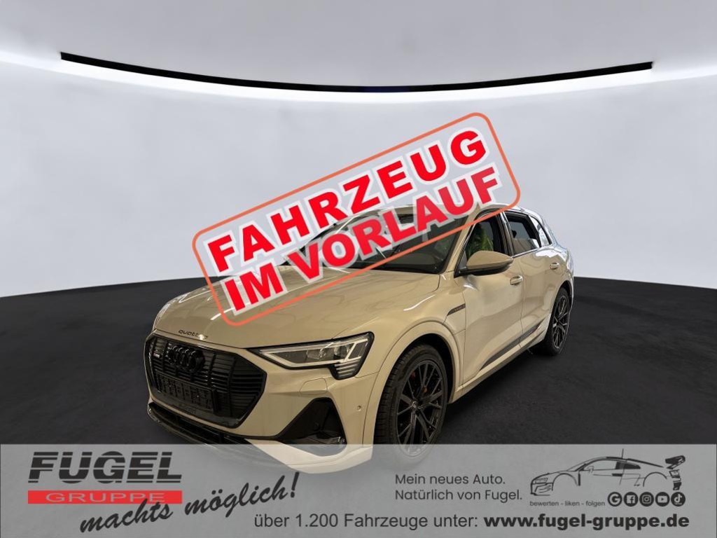 Audi e-tron 2022 Elektrisch