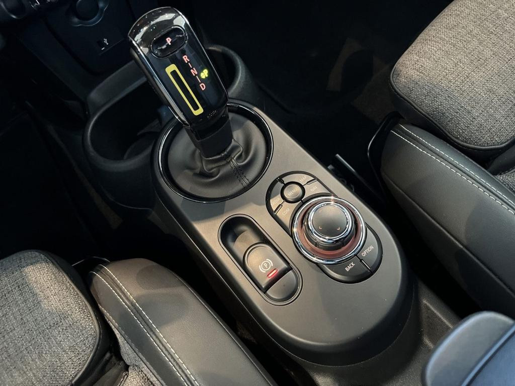 Mini Mini Electric