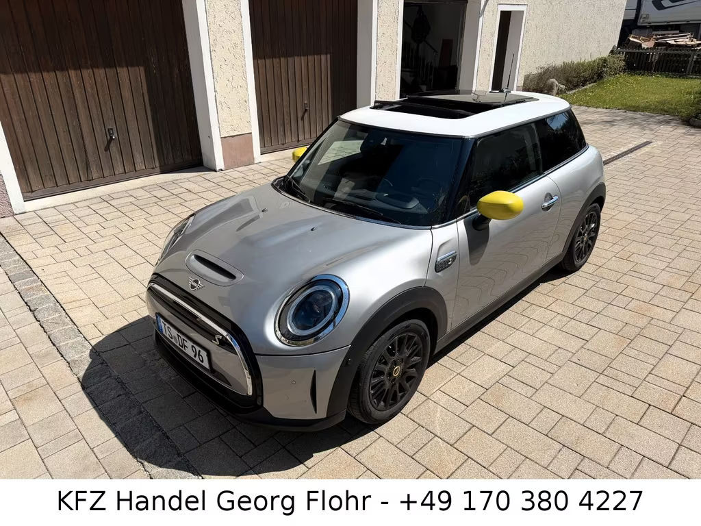 Mini Mini Electric