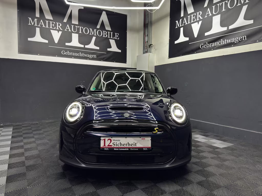 Mini Mini Electric