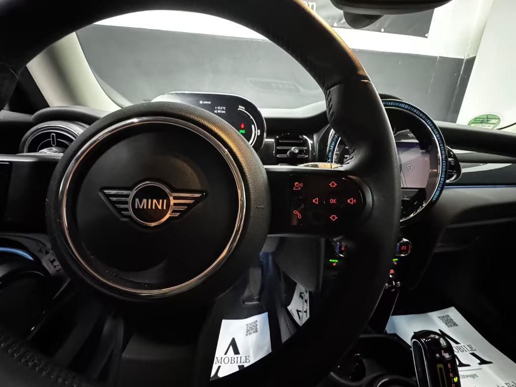 Mini Mini Electric
