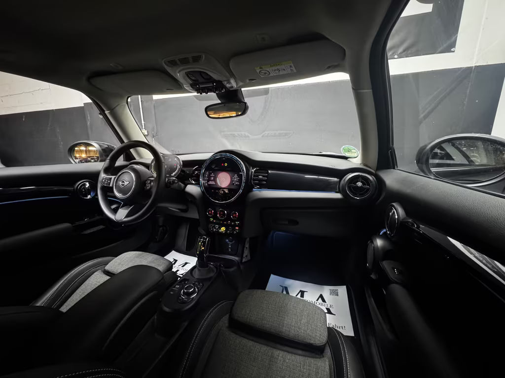 Mini Mini Electric