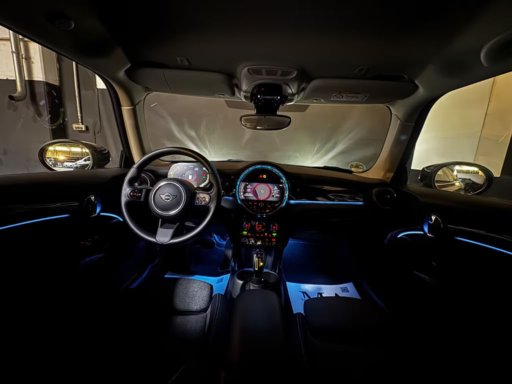 Mini Mini Electric