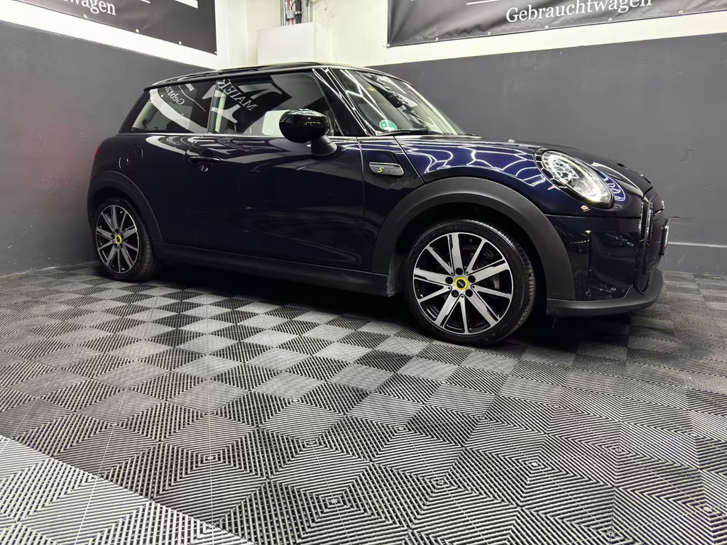 Mini Mini Electric