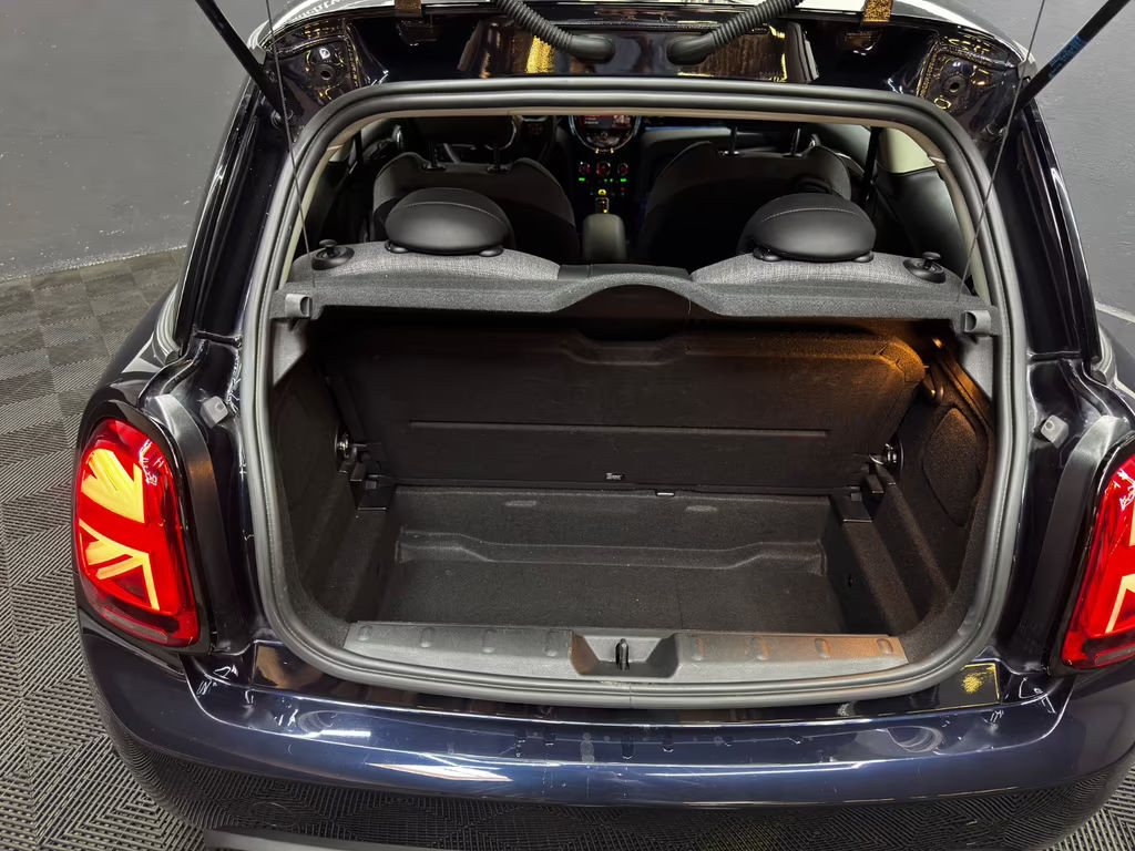 Mini Mini Electric