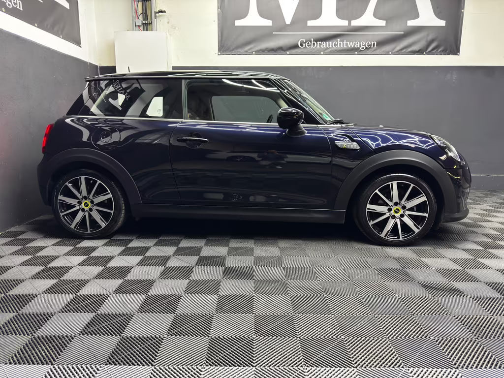 Mini Mini Electric
