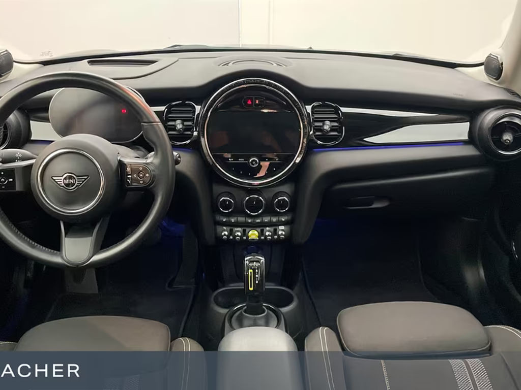 Mini Mini Electric