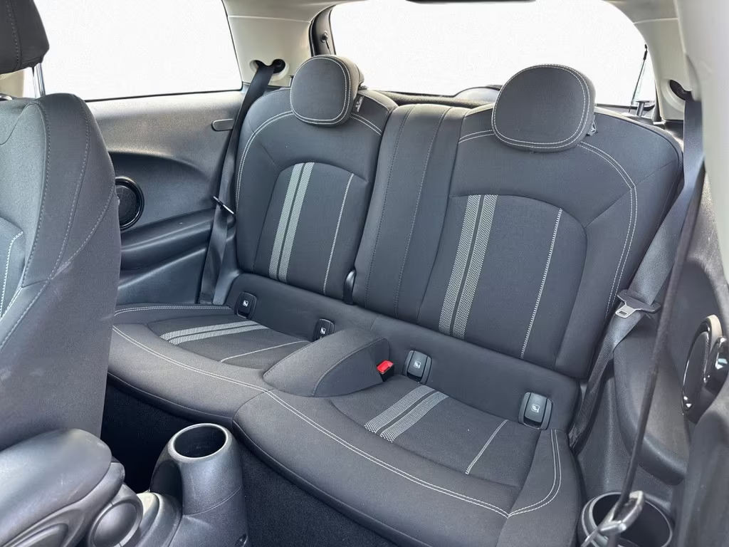 Mini Mini Electric