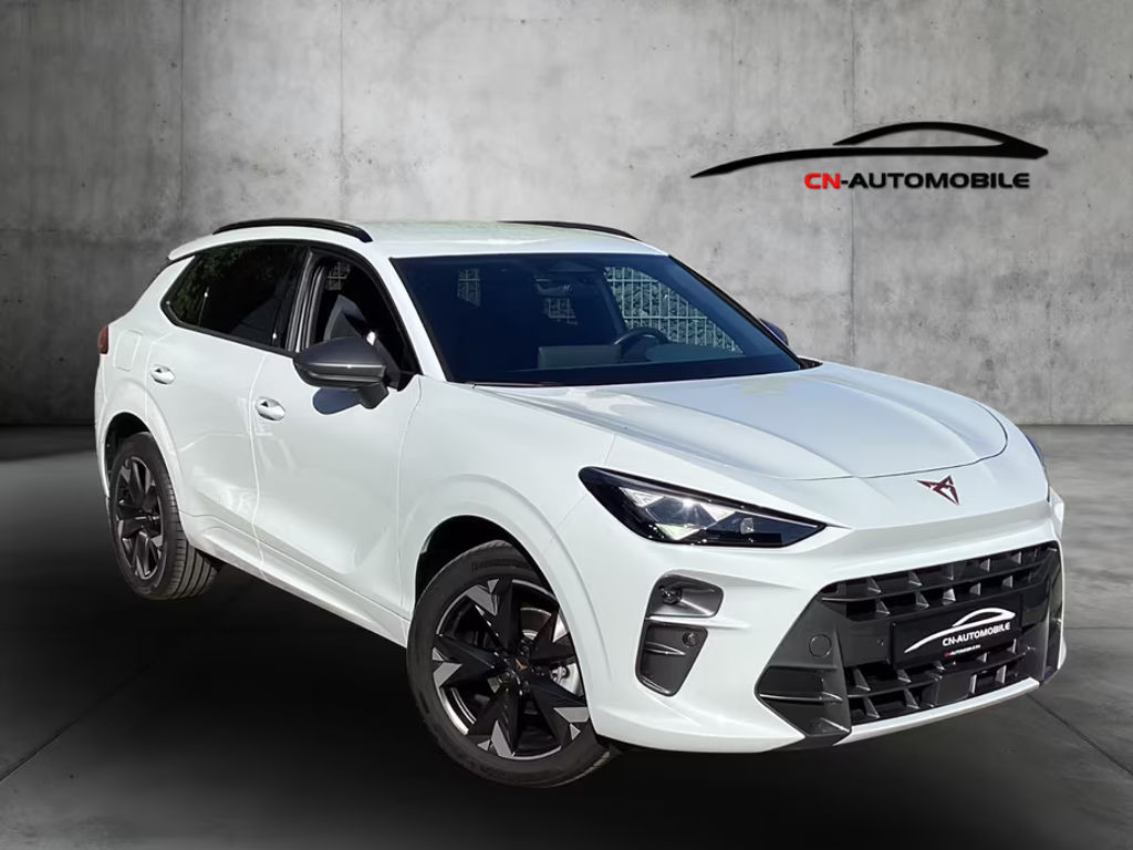 Cupra Terramar 2025 Benzine
