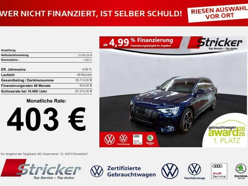 Audi e-tron 2021 Elektrisch