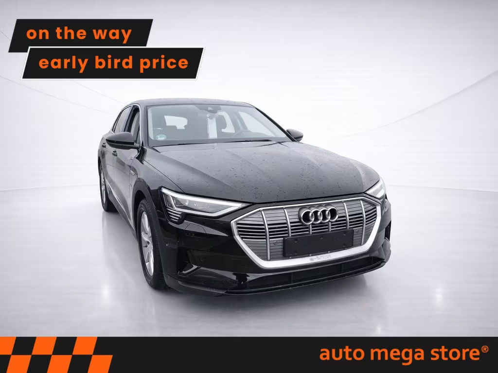Audi e-tron 2022 Elektrisch
