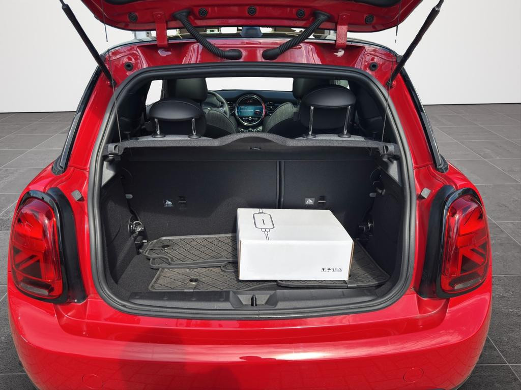 Mini Mini Electric