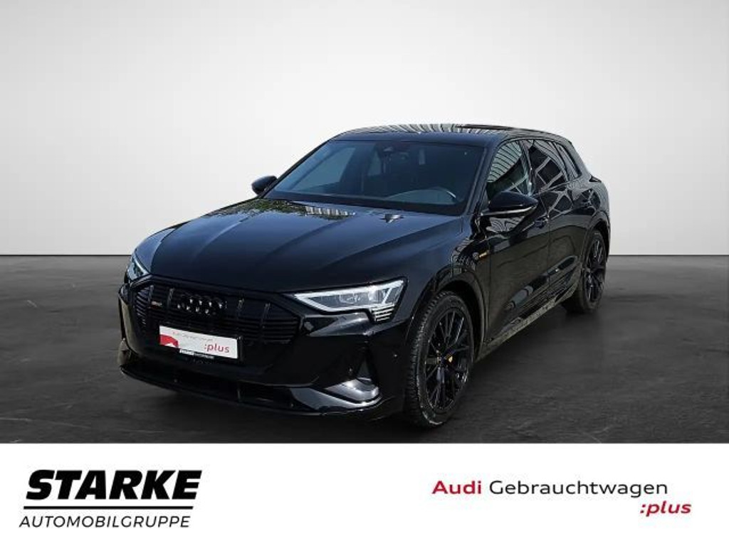 Audi e-tron 2022 Elektrisch