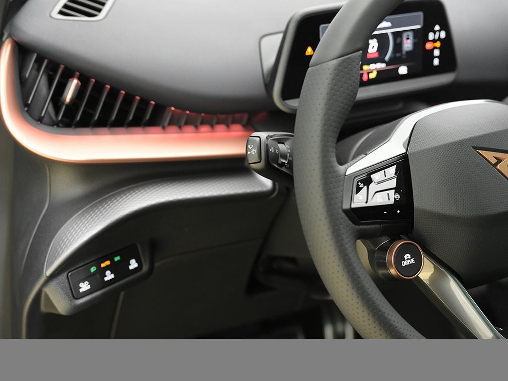 Cupra Tavascan