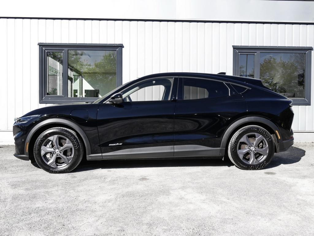 Ford Mustang Mach-E