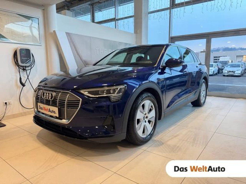 Audi e-tron 2022 Elektrisch