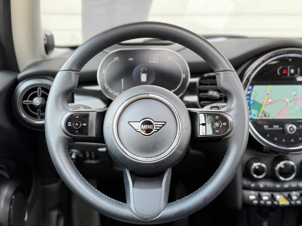 Mini Mini Electric